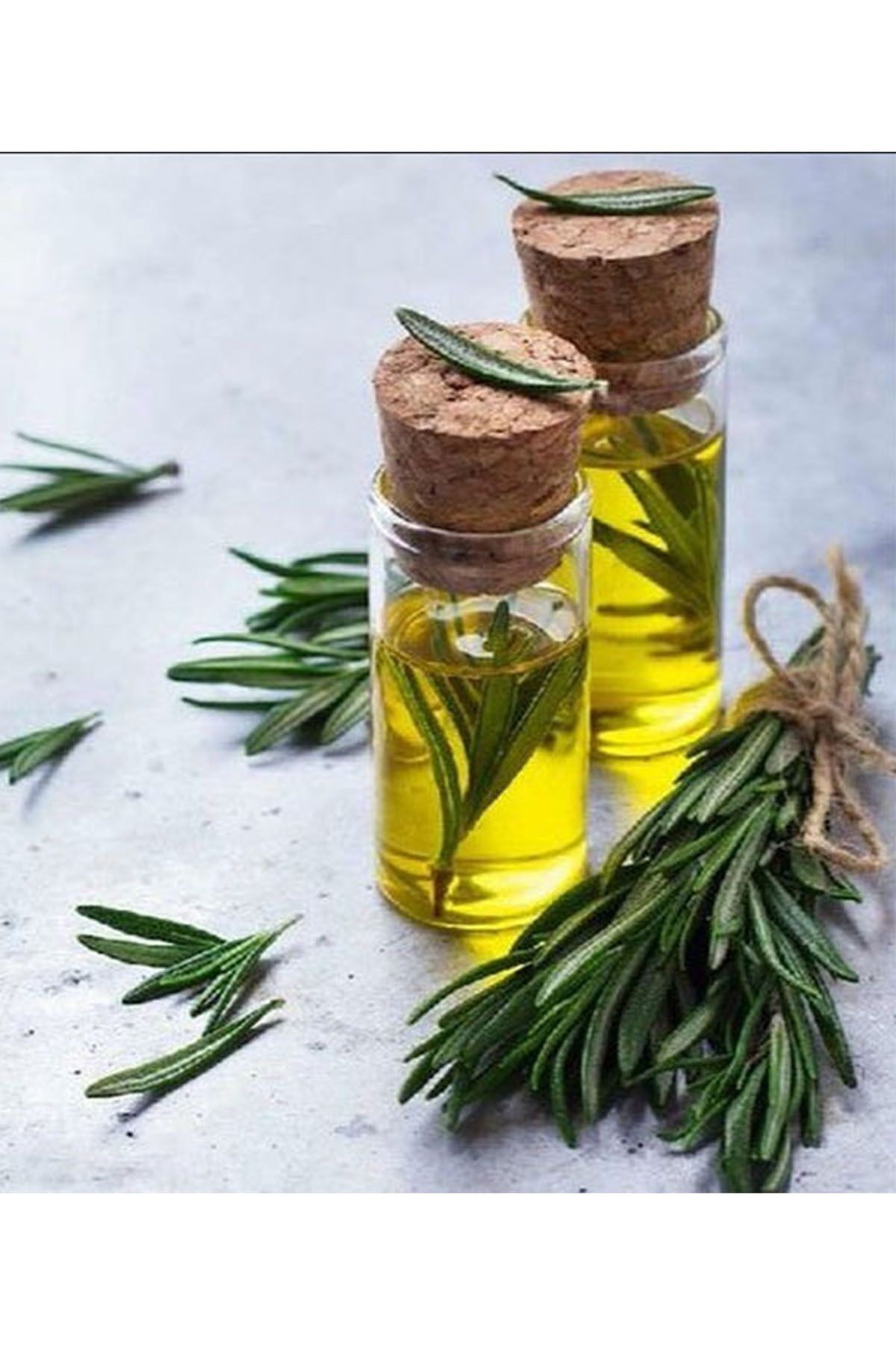 Balen Biberiye Yağı (Distilasyon) 20 ml