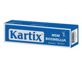 Kartix MSM Boswellia Masaj Kremi 100 ml